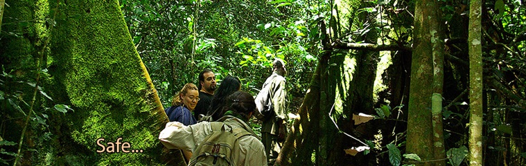 Welcome to Uganda, the Pearl of Africa